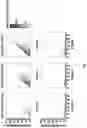 Fig. 09 - ANALYSIS OF METHYLATED DNA COMPRISING METHYLATION-SENSITIVE OR METHYLATION-DEPENDENT RESTRICTIONS
