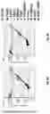 Fig. 10 - ANALYSIS OF METHYLATED DNA COMPRISING METHYLATION-SENSITIVE OR METHYLATION-DEPENDENT RESTRICTIONS