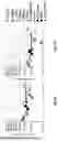 Fig. 11 - ANALYSIS OF METHYLATED DNA COMPRISING METHYLATION-SENSITIVE OR METHYLATION-DEPENDENT RESTRICTIONS