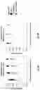 Fig. 12 - ANALYSIS OF METHYLATED DNA COMPRISING METHYLATION-SENSITIVE OR METHYLATION-DEPENDENT RESTRICTIONS
