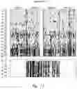 Fig. 12 - METHODS AND NUCLEIC ACIDS FOR ANALYSES OF CELLULAR PROLIFERATIVE DISORDERS