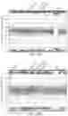 Fig. 30 - DETECTING MUTATIONS AND PLOIDY IN CHROMOSOMAL SEGMENTS