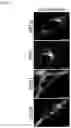 Fig. 05 - Methods of diagnosing, determining the progression of, and treating a prostate cancer