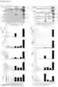 Fig. 11 - Methods of diagnosing, determining the progression of, and treating a prostate cancer