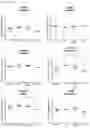 Fig. 26 - Methods of diagnosing, determining the progression of, and treating a prostate cancer