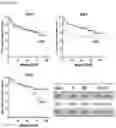 Fig. 37 - Methods of diagnosing, determining the progression of, and treating a prostate cancer