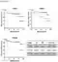 Fig. 43 - Methods of diagnosing, determining the progression of, and treating a prostate cancer