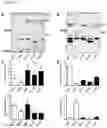 Fig. 44 - Methods of diagnosing, determining the progression of, and treating a prostate cancer