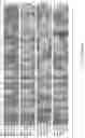 Fig. 41 - METHODS AND MATERIALS FOR ASSESSING AND TREATING CANCER