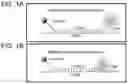Fig. 02 - COMPOSITIONS AND METHODS FOR DETECTION OF CANDIDA SPECIES