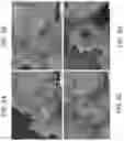 Fig. 05 - CONJUGATED POLYMERS FOR THE SELECTIVE ELECTROLESS RECOVERY OF GOLD AND SILVER FROM SOLUTIONS