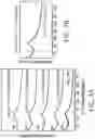 Fig. 08 - CONJUGATED POLYMERS FOR THE SELECTIVE ELECTROLESS RECOVERY OF GOLD AND SILVER FROM SOLUTIONS