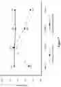 Fig. 08 - Variable cycle and time RF activation method for film thickness matching in a multi-station deposition system