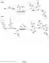 Fig. 03 - Compositions comprising multiple charged cationic compounds derived from polyamines for corrosion inhibition in a water system