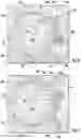 Fig. 07 - Motor assembly for a washing machine appliance