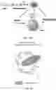 Fig. 15 - Active Materials, Surfaces, Surface Treatments And Methods For Packaging Materials, Boxes, And Containers Using Photosensitizers For Pathogen Reduction