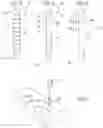 Fig. 03 - Device and method for improving adhesive anchor performance