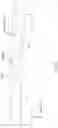 Fig. 09 - Longspan stay-in-place liners