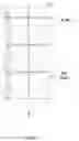 Fig. 04 - Cladding or siding assembly and installation method