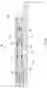 Fig. 07 - Rupture apparatus