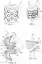 Fig. 02 - Sympathetically detonated self-centering explosive device