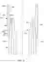 Fig. 07 - Well production methods and tubing systems