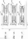 Fig. 05 - Variable stiffness damper system