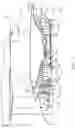 Fig. 06 - Geared turbofan engine gearbox arrangement
