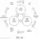 Fig. 26 - Transmission control with cylinder deactivation