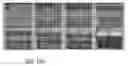 Fig. 17 - PHASE TRANSFORMING CELLULAR MATERIALS
