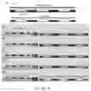 Fig. 23 - PHASE TRANSFORMING CELLULAR MATERIALS