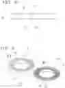 Fig. 04 - Safety washer for improved control of bolt tension and high antiloosening effect