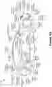 Fig. 09 - Automatic graphical content recognition for vehicle applications