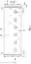 Fig. 06 - Valve assembly for a dose filling machine having improved seal assemblies