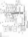 Fig. 11 - Flow cytometer including light collection modules, and methods of using the same