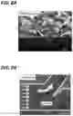 Fig. 03 - Method and apparatus for detecting abnormal growth of graphene