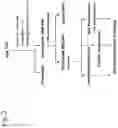 Fig. 03 - Cho host cell protein assay