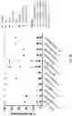 Fig. 07 - FLOW CYTOMETRIC METHOD FOR CHARACTERIZATION OF T-CELL IMPURITIES