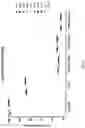 Fig. 08 - FLOW CYTOMETRIC METHOD FOR CHARACTERIZATION OF T-CELL IMPURITIES