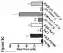 Fig. 12 - Methods to identify and treat subjects having corticosteroid-resistant inflammatory diseases