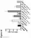 Fig. 24 - Methods to identify and treat subjects having corticosteroid-resistant inflammatory diseases