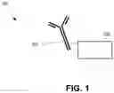 Fig. 02 - LYOPHILIZED ANTIBODY PANEL