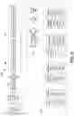 Fig. 06 - LYOPHILIZED ANTIBODY PANEL