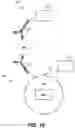Fig. 11 - LYOPHILIZED ANTIBODY PANEL