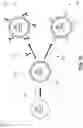 Fig. 13 - LYOPHILIZED ANTIBODY PANEL