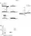 Fig. 10 - CATSPER-ACTIVITY-TEST FOR DETERMINING MALE INFERTILITY