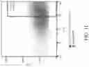 Fig. 04 - TROPHOBLAST STEM CELL, METHODS OF PREPARATION AND USES THEREOF