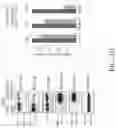 Fig. 05 - TROPHOBLAST STEM CELL, METHODS OF PREPARATION AND USES THEREOF