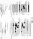 Fig. 09 - TROPHOBLAST STEM CELL, METHODS OF PREPARATION AND USES THEREOF