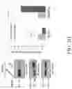 Fig. 13 - TROPHOBLAST STEM CELL, METHODS OF PREPARATION AND USES THEREOF